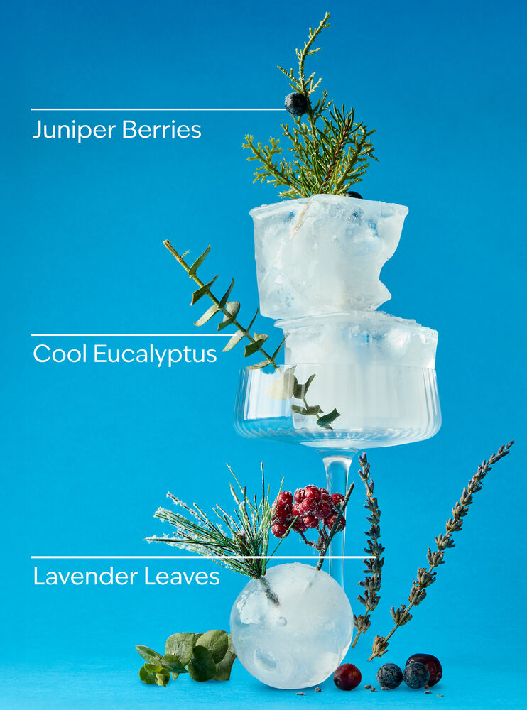 Frozen Lake Wallflowers Fragrance Refill รีฟิลวอลล์ฟลาวเวอร์