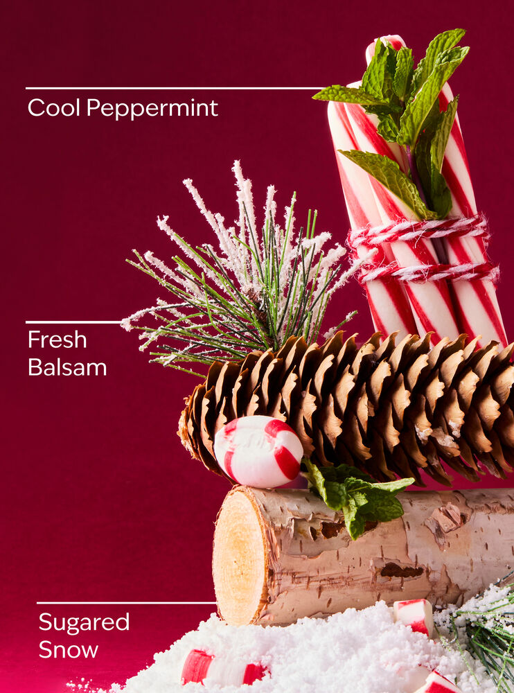 Twisted Peppermint Travel Size Shower Gel Travel Size Shower Gel