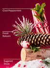 Twisted Peppermint Travel Size Shower Gel image number null