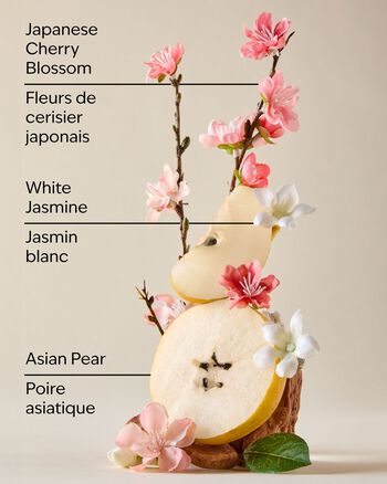 Japanese Cherry Blossom Gift Set กิ๊ฟต์เซ็ต