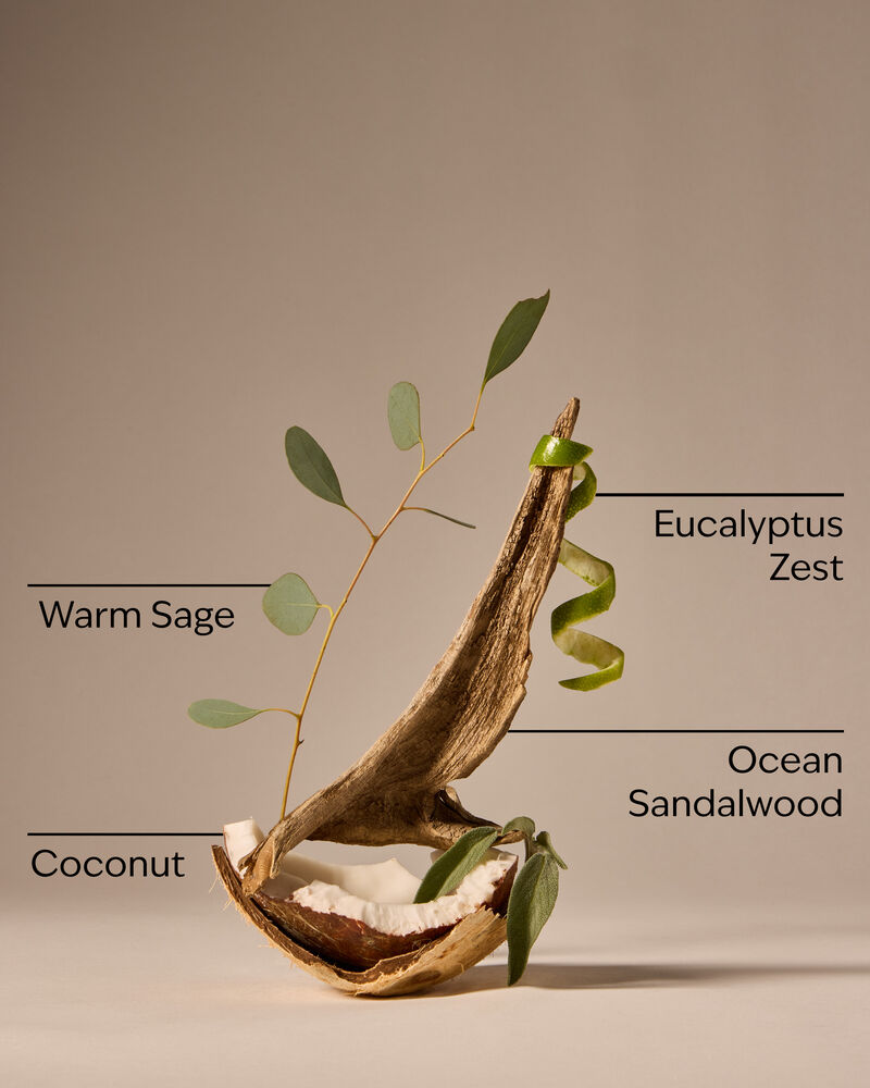 Warm Ocean Breeze 3-Wick Candle เทียนหอม 3 ไส้