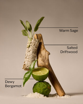 Salted Shorelines Ultimate Hydration Body Cream Ultimate Hydration Body Cream