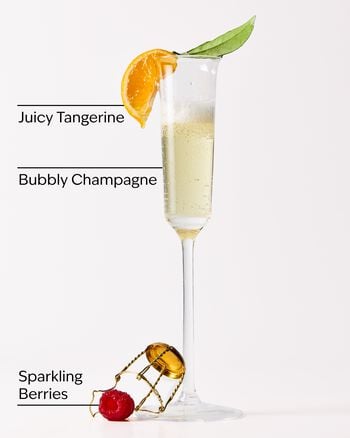 Champagne Toast Wallflowers Fragrance Refill รีฟิลวอลล์ฟลาวเวอร์