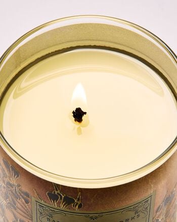Backyard Honeysuckle Single Wick Candle เทียนหอม 1 ไส้
