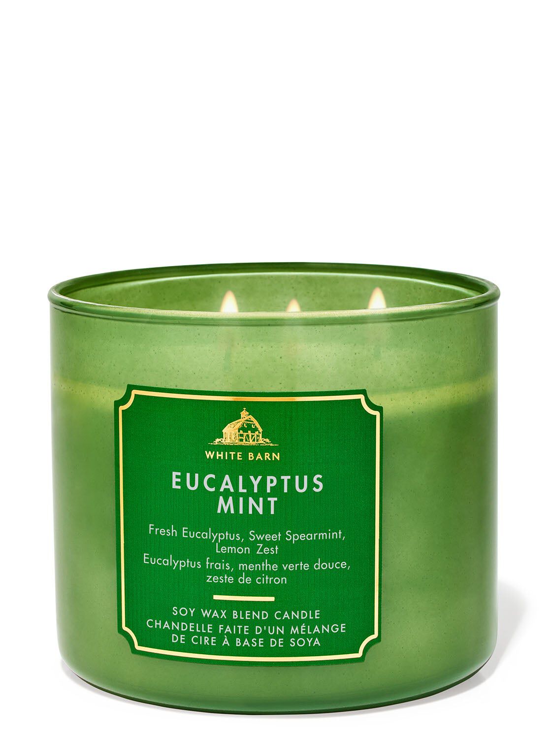 Shop Eucalyptus Mint 3-Wick Candle | Bath & Body Works Thailand