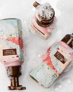 The Perfect Autumn Gentle & Clean Foaming Hand Soap image number null