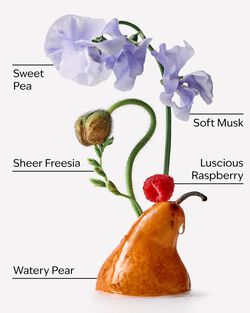 Sweet Pea Fine Fragrance Mist image number null