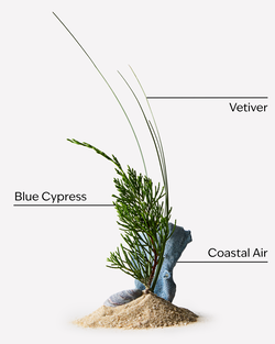 Ocean Gift Set