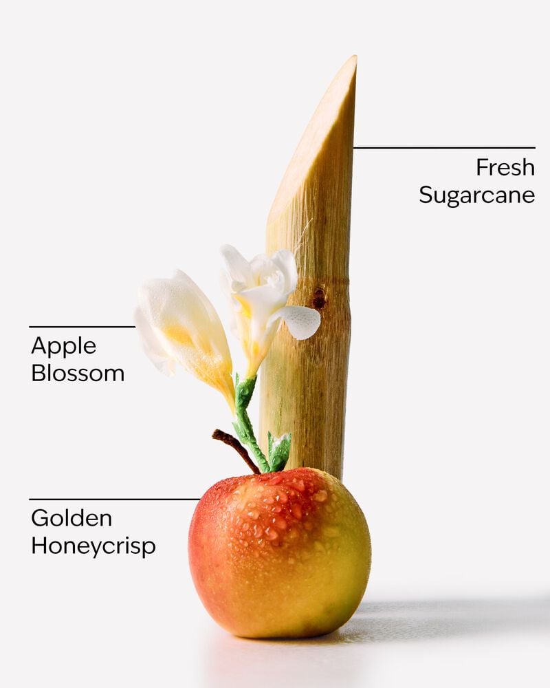 Honeycrisp Apple Wallflowers Fragrance Refill รีฟิลวอลล์ฟลาวเวอร์
