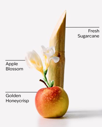 Honeycrisp Apple Wallflowers Fragrance Refill รีฟิลวอลล์ฟลาวเวอร์