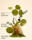 Eucalyptus Spearmint Car Fragrance Refill image number null