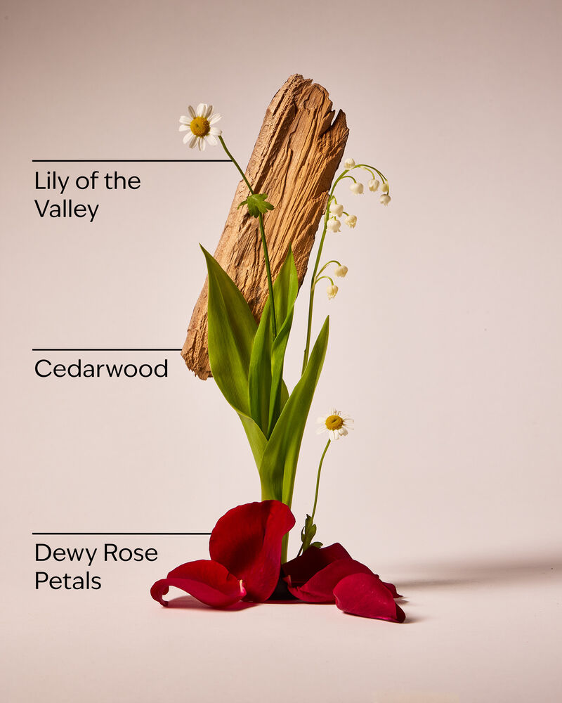 Black Chamomile Gift Set Gift Box