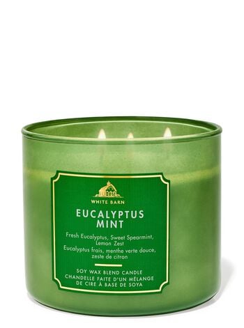 Eucalyptus Mint 3-Wick Candle เทียนหอม 3 ไส้