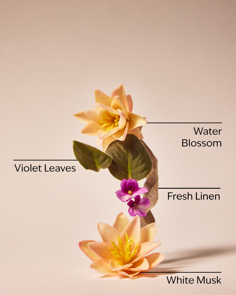 Saltwater Breeze Body Scrub บอดี้สครับ