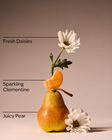 Gingham Fresh Travel Size Fine Fragrance Mist image number null