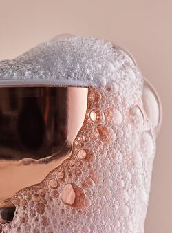 Champagne Toast Body Wash image number null