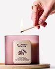 Raspberry Mimosa 3-Wick Candle image number null