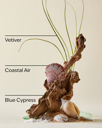 Ocean Shampoo แชมพู