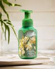 Backyard Honeysuckle Gentle & Clean Foaming Hand Soap image number null