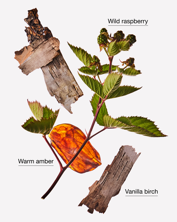 Autumn Drive Wallflowers Fragrance Refill รีฟิลวอลล์ฟลาวเวอร์