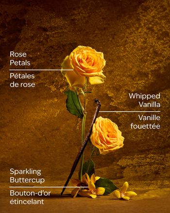 Belle Body Wash สบู่