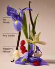 Butterfly Exfoliating Glow Body Scrub image number null
