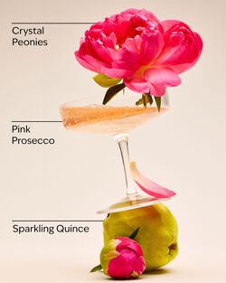 A Thousand Wishes Lip Gloss image number null