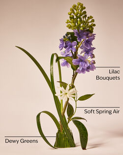 Fresh Cut Lilacs 3-Wick Candle