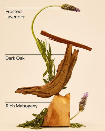 Mahogany Teakwood Cologne โคโลญจน์