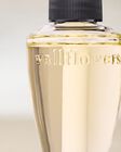 Paradise Vanilla Wallflowers Fragrance Refill image number null