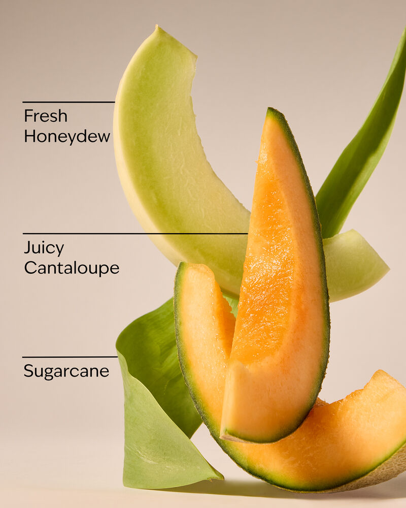 Melon Slice Wallflowers Fragrance Refill Wallflowers Fragrance Refill