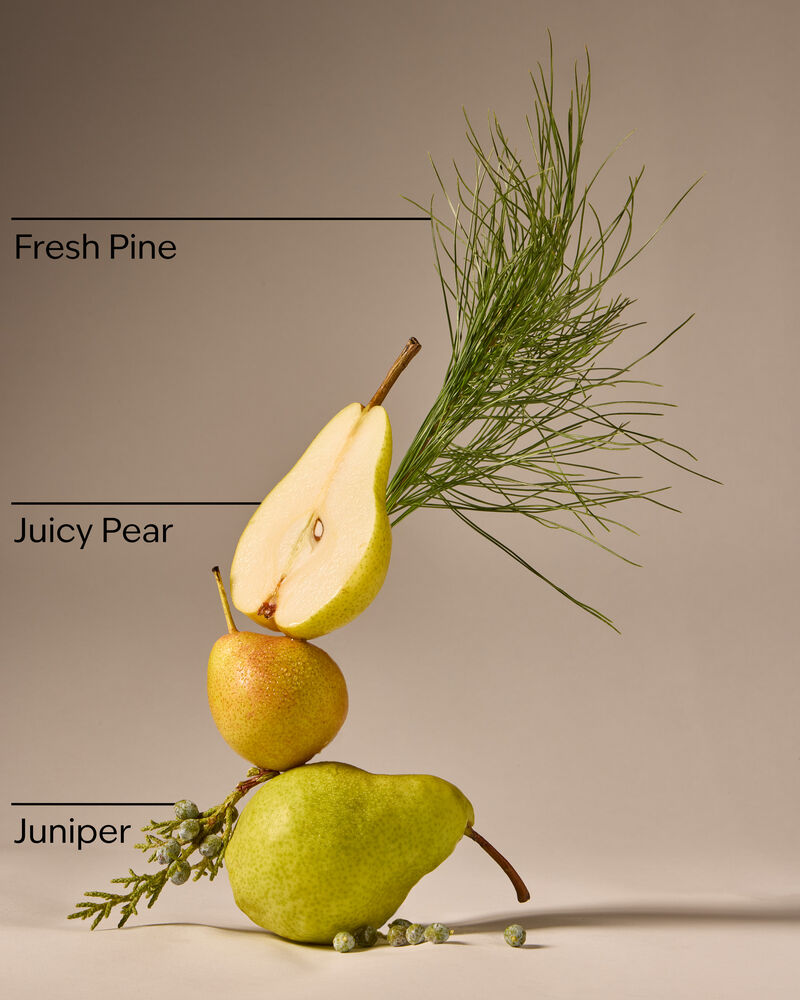 Crisp Morning Air Gentle & Clean Foaming Hand Soap โฟมล้างมือ