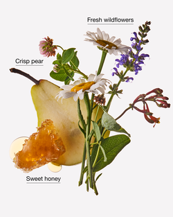 Honey Wildflower Gentle & Clean Foaming Hand Soap image number null