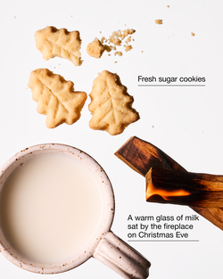 Santa's Milk & Cookies Gentle & Clean Foaming Hand Soap