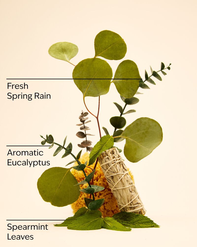 Eucalyptus Spearmint Gift Set กิ๊ฟต์เซ็ต