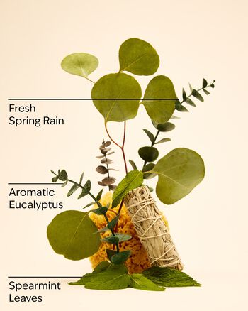 Eucalyptus Spearmint Gift Set กิ๊ฟต์เซ็ต