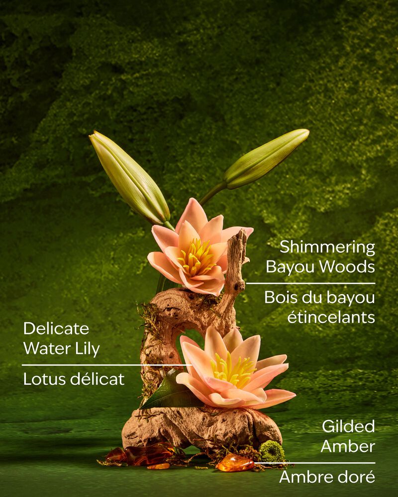 Tiana Body Wash สบู่