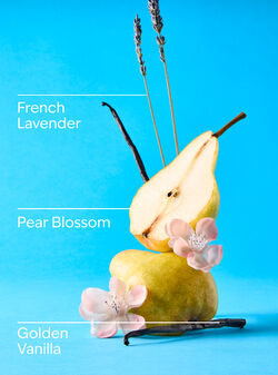 Moonlit Goddess Wallflowers Fragrance Refill