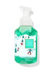 Snowy Alpine Mountain Gentle Foaming Hand Soap image number null