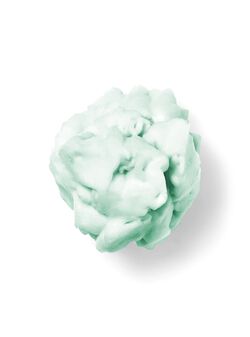 Vanilla Bean Noel Shapeable Soap