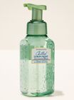 Chilled Lemon Frost Gentle & Clean Foaming Hand Soap image number null