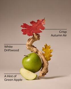 Lakeside Morning Concentrated Room Spray