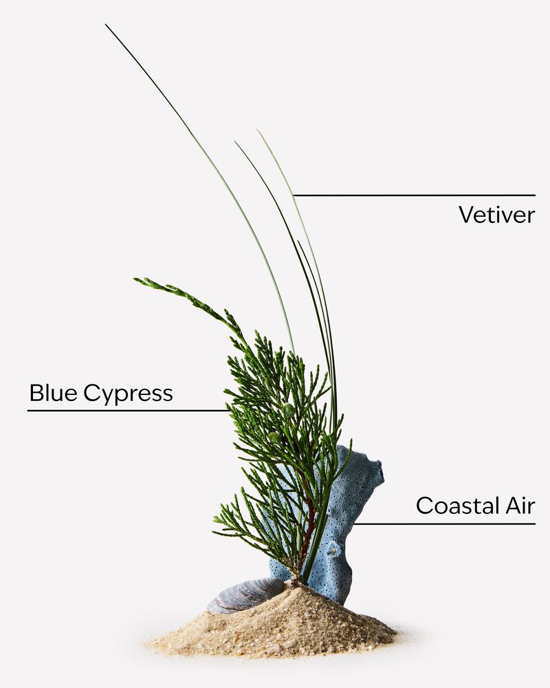 Ocean Gift Set Gift Set