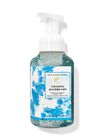 Chasing Daydreams Gentle Foaming Hand Soap image number null