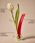 Imperfect Beauty Fine Fragrance Mist image number null