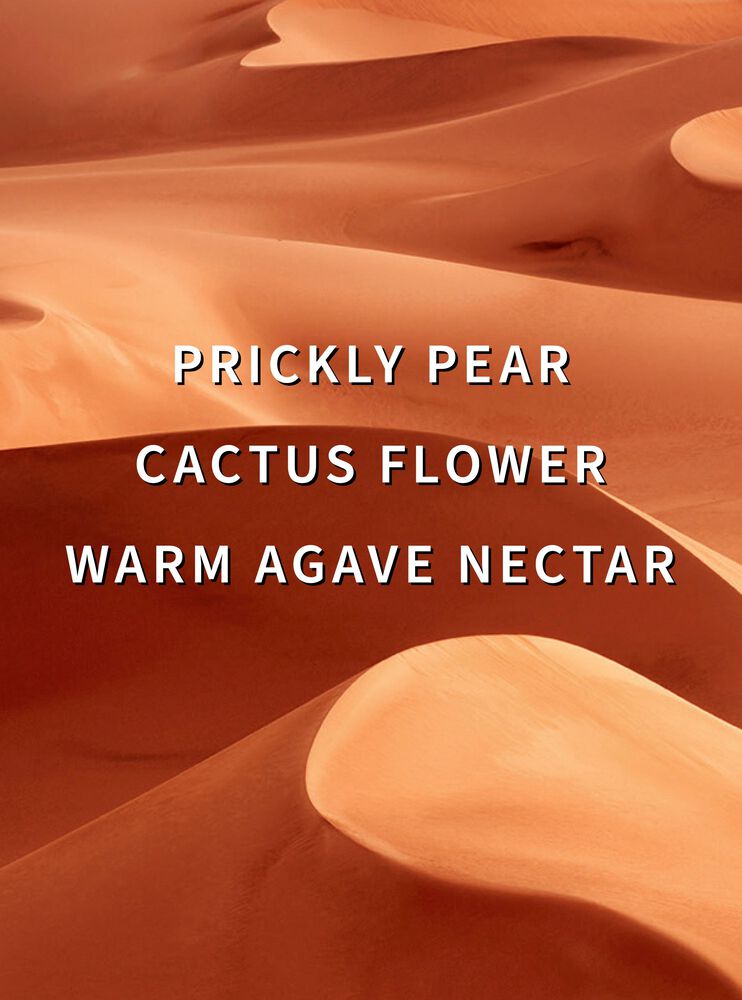 Wild Sand Signature Single Wick Candle เทียนหอม 1 ไส้