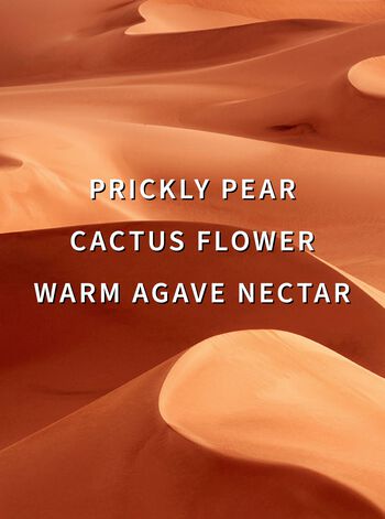 Wild Sand Signature Single Wick Candle เทียนหอม 1 ไส้