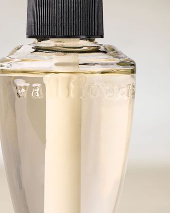 Raspberries & Whipped Vanilla Wallflowers Fragrance Refill Wallflowers Fragrance Refill