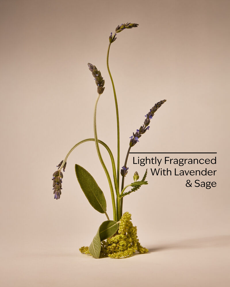 Daily Shampoo With Aloe & Vitamin E แชมพู