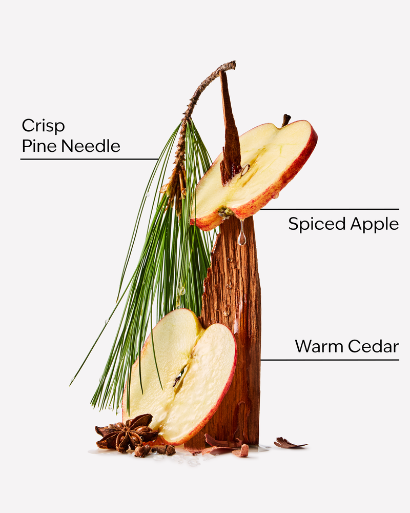 Tree Farm 3-Wick Candle 3-Wick Candle